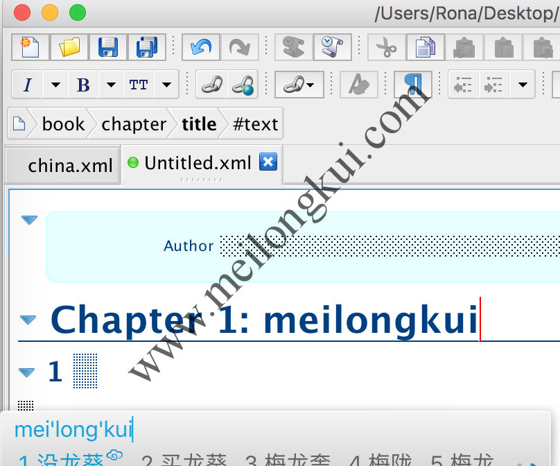 Mac系统下XMLMind XML Editor不能输入中文