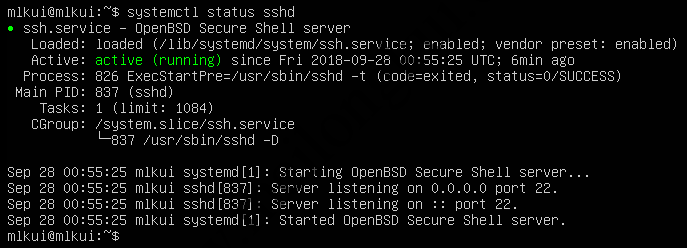 判断SSH是否正在运行