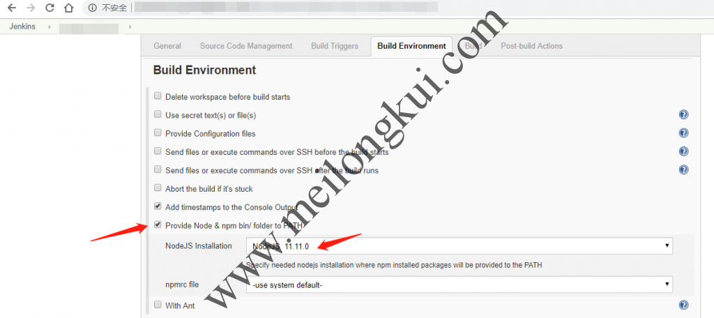 Jenkins中Build Environment的NodeJS配置