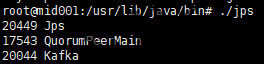 使用jps查看kafka进程