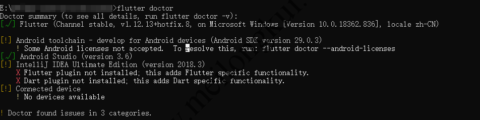 有问题的flutter doctor执行结果